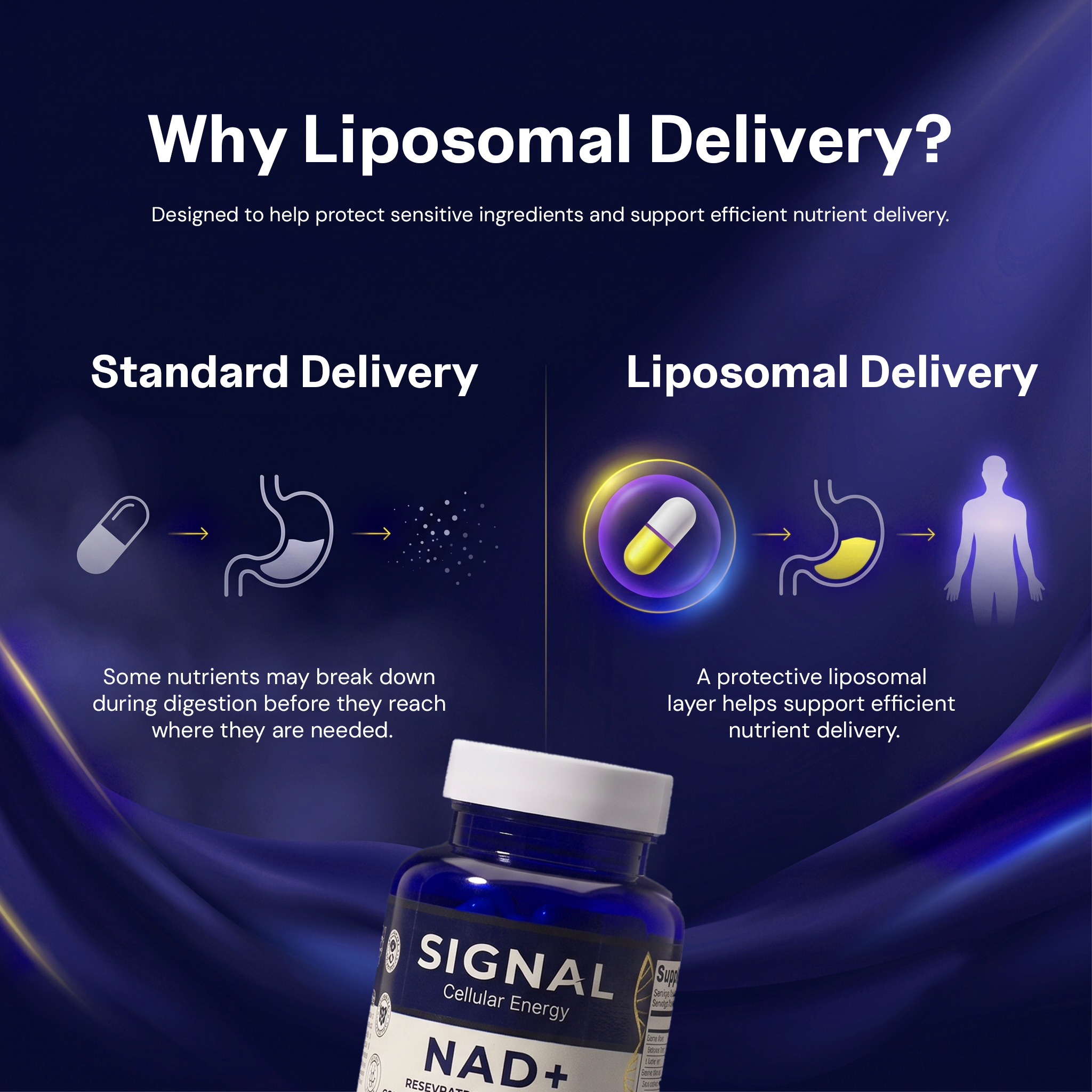 Why Liposomal Delivery